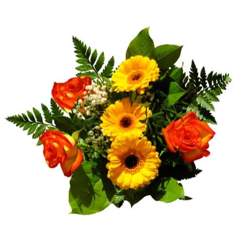 Regensburger Floristen zeigen Blumentrends zum Muttertag