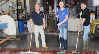 Exquisit Teppichwascherei Schuhbiesser Archive Blizz Regensburg