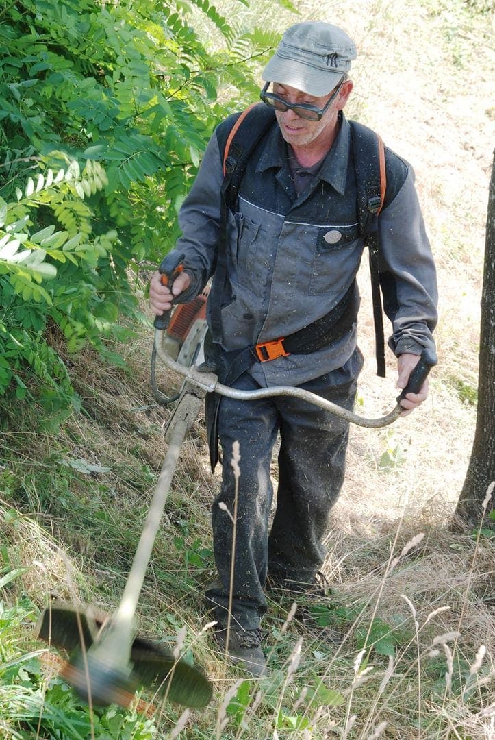 Das Gartenteam vom Werkhof Regensburg Grüner Daumen