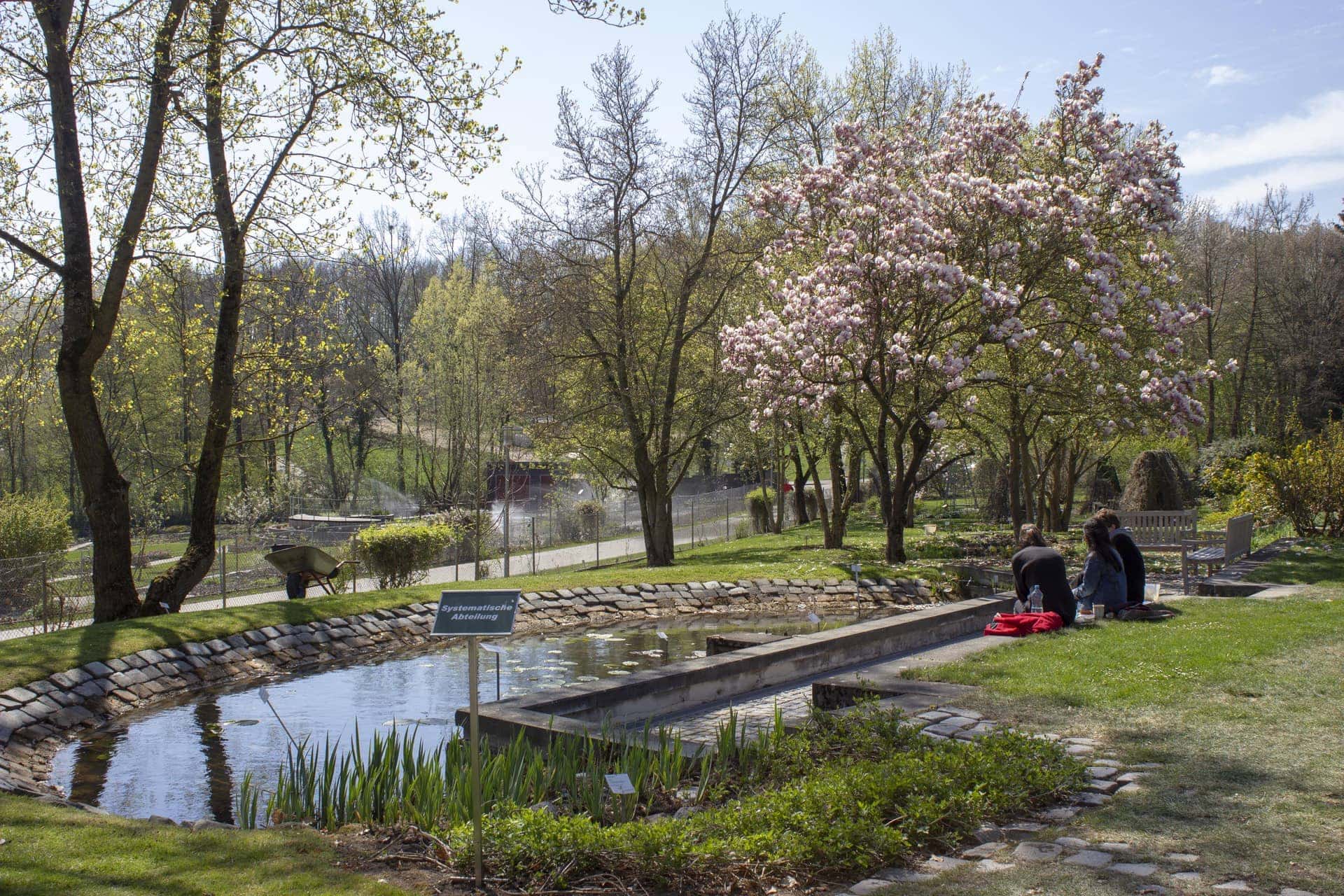 Im Botanischen Garten Lassen Sich Ganz Besondere Schatze Entdecken
