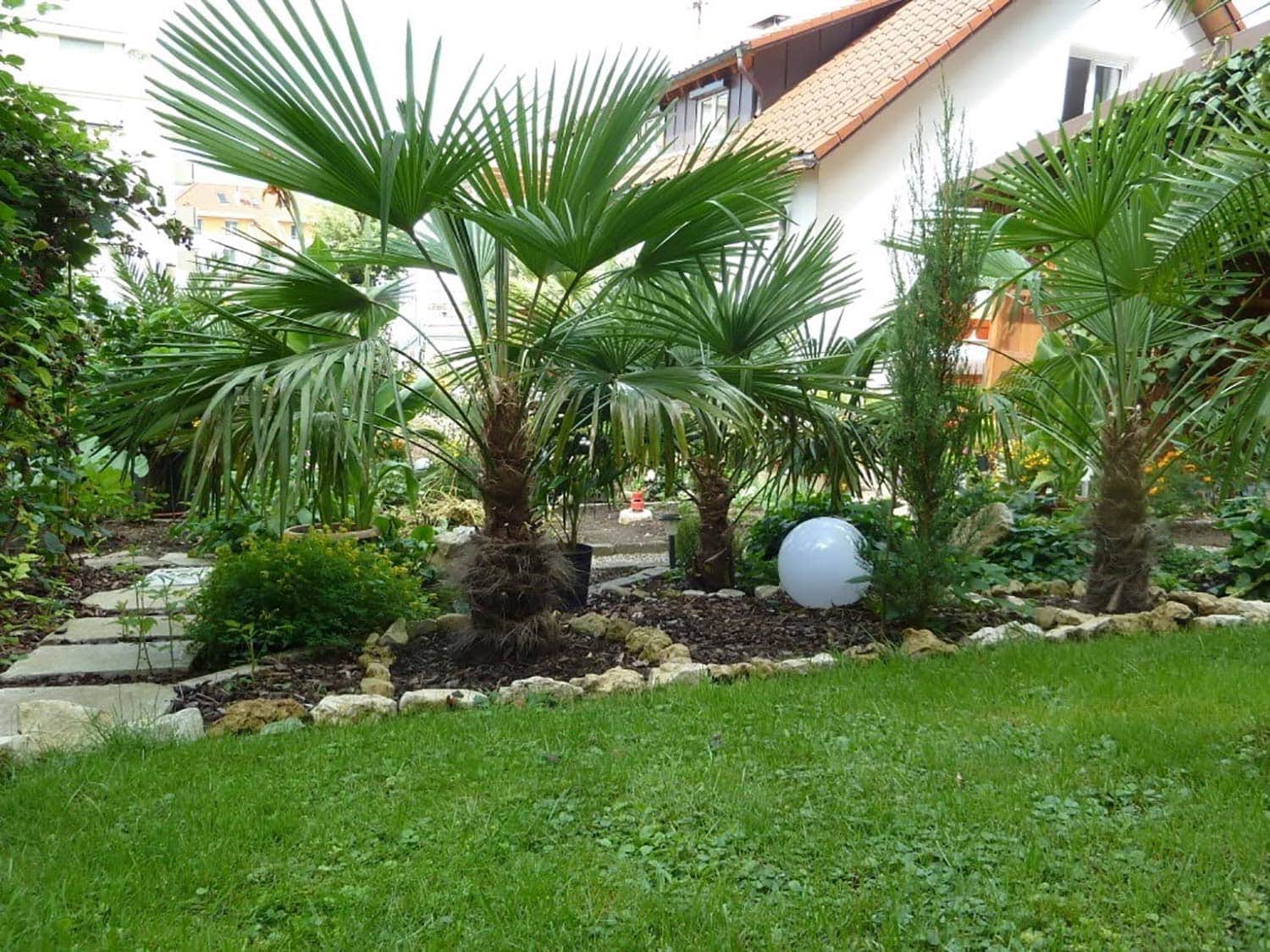 Der Palmenstadl in Pfakofen Mediterranes Flair im Garten