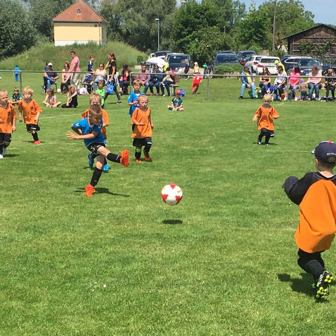 Blizz Leserreporter Fussballfest für Kinder beim SV Sallern