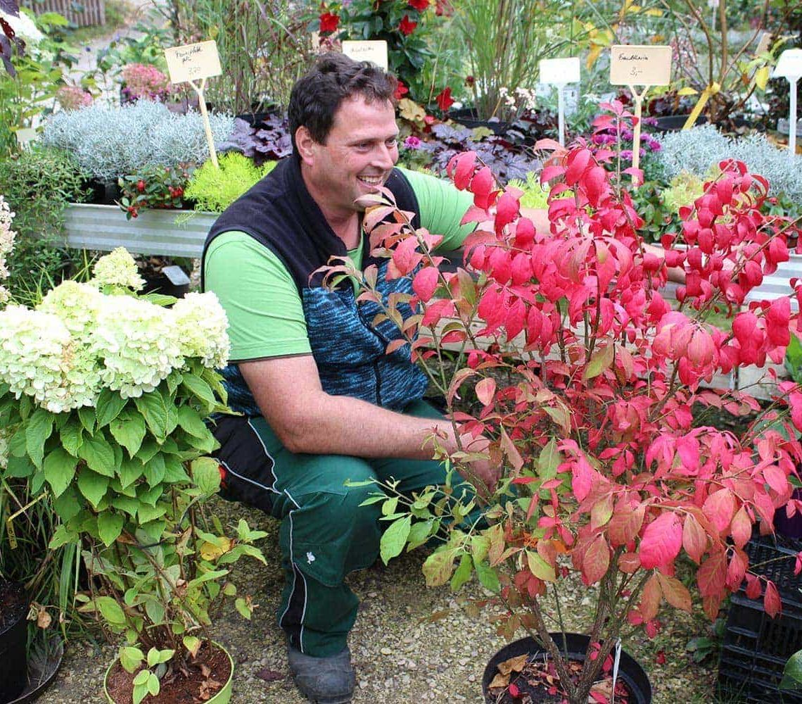 Garten- und Landschaftsbaumeister Stefan Delazer vom Gartenparadies Regensburg gibt wertvolle Tipps So machst du Garten und Balkon winterfest