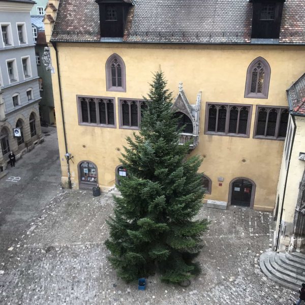 Oh, Tannenbaum auf dem Rathausplatz Zwölf-Meter-Tanne aus dem Thüringer Wald kann jetzt geschmückt werden