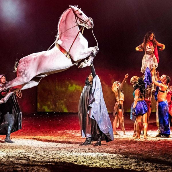 Mit Blizz zur neuen CAVALLUNA-Show Neues Programm „Legende der Wüste“