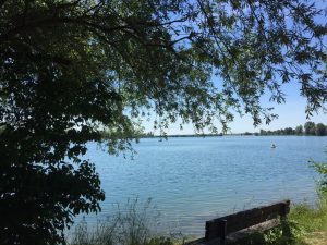 Landschaftliche Vielfalt am Wasser