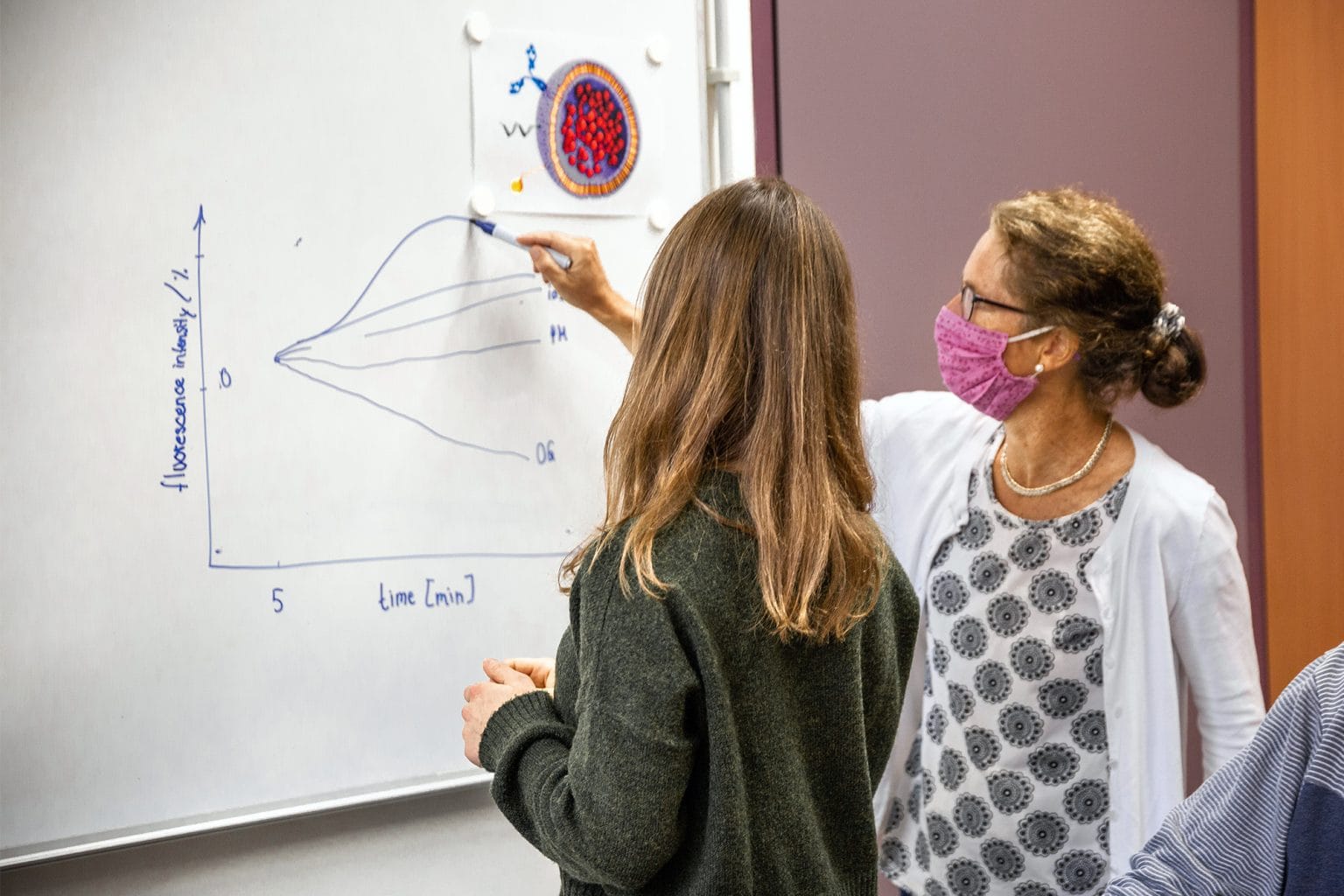 Stadt Regensburg Aktuelles Coronavirus